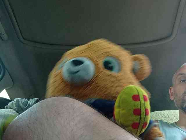 CuddleBear