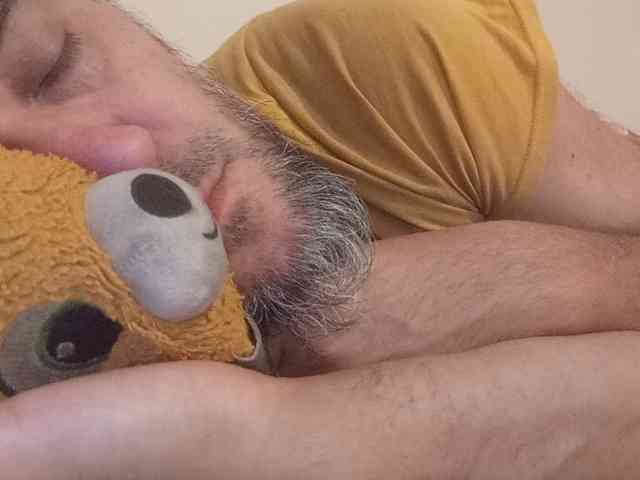 CuddleBear
