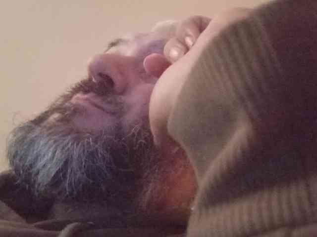 CuddleBear