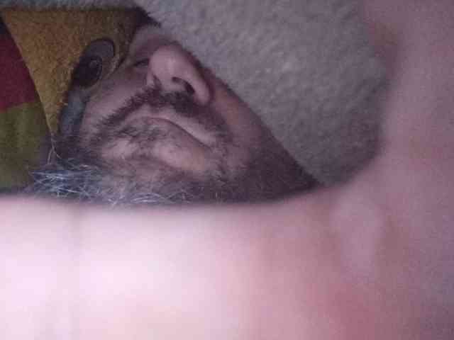 CuddleBear