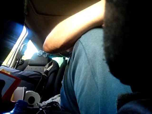 CuddleBear