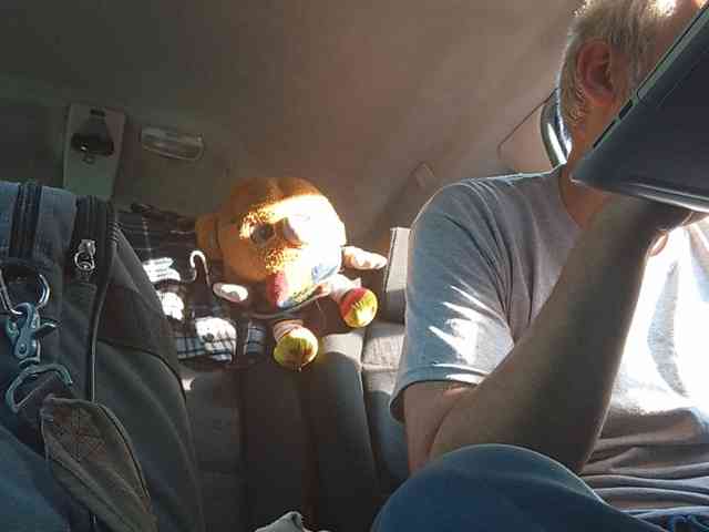 CuddleBear CuddleBear
