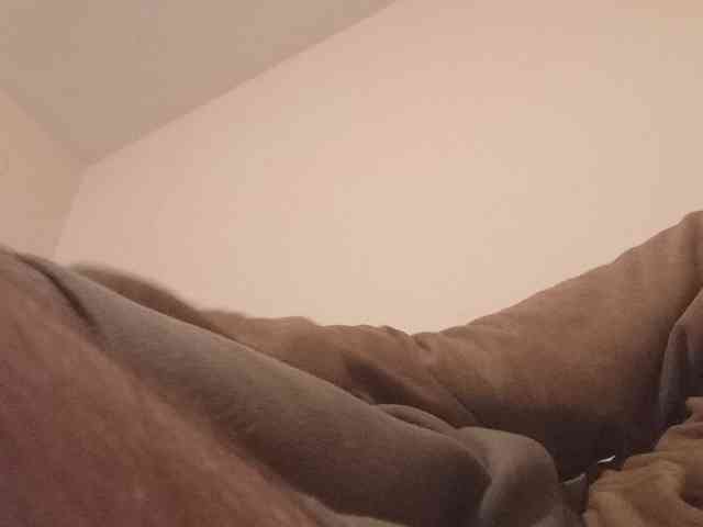 CuddleBear