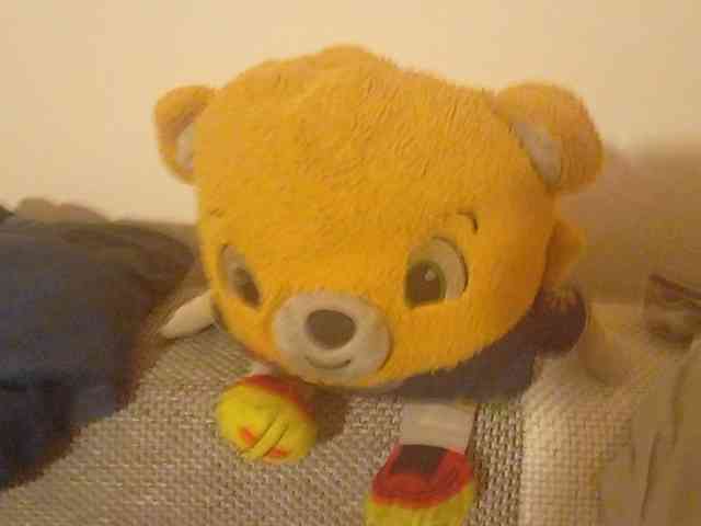 CuddleBear CuddleBear