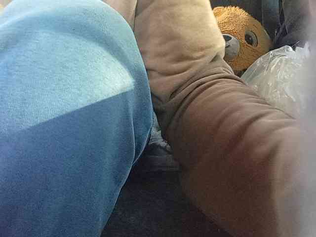 CuddleBear