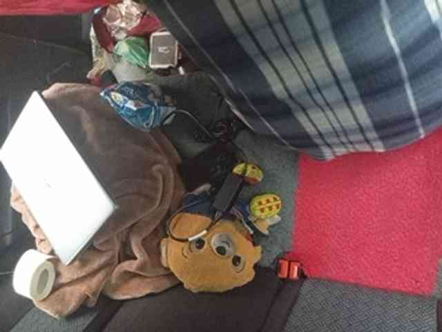 CuddleBear