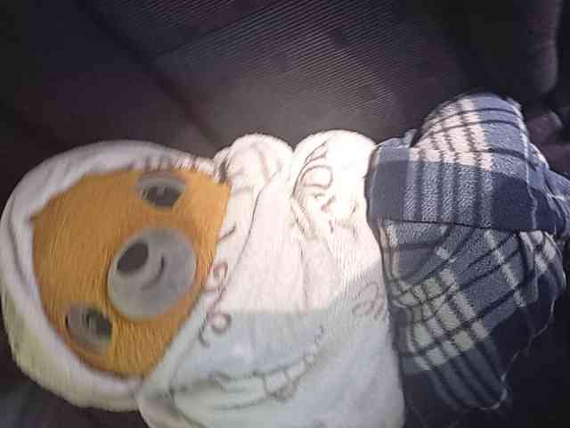 CuddleBear