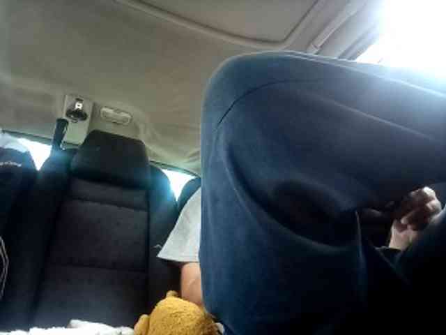 CuddleBear