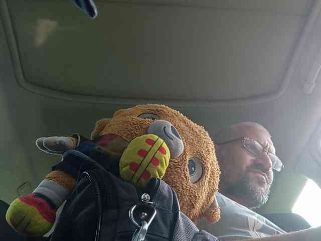 CuddleBear