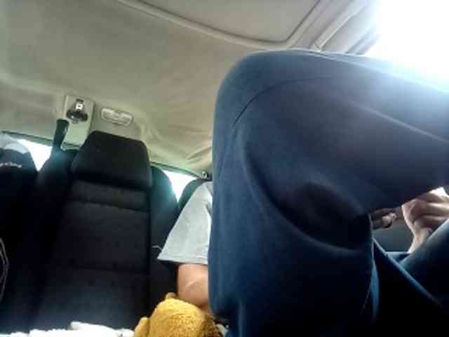 CuddleBear