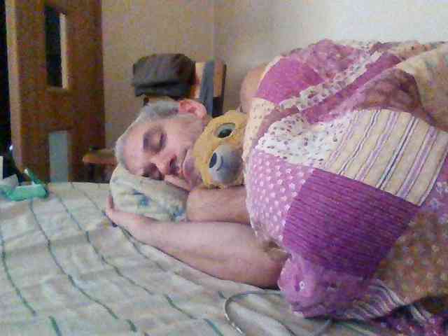 CuddleBear