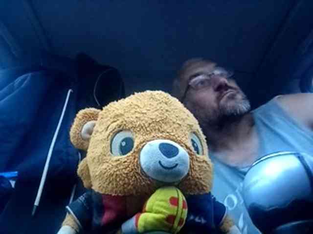 CuddleBear