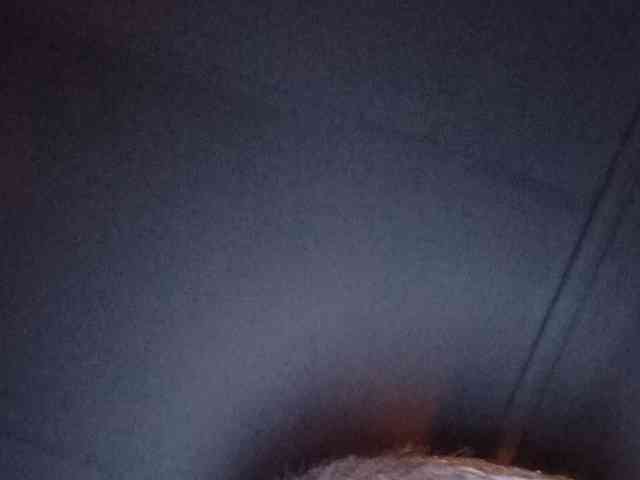 CuddleBear