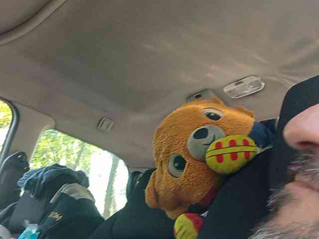 CuddleBear CuddleBear