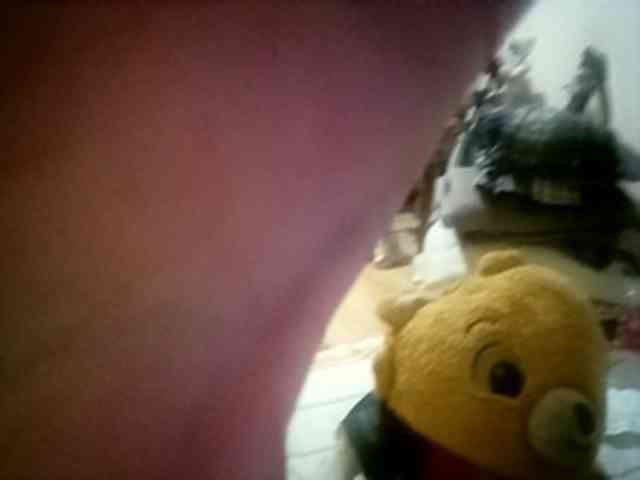CuddleBear