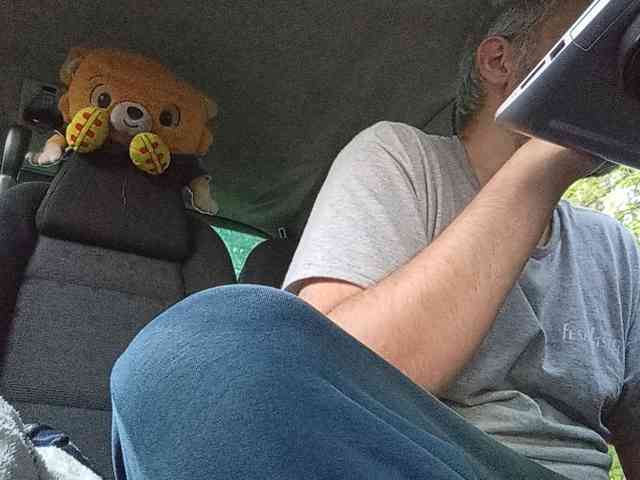 CuddleBear