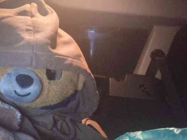 CuddleBear