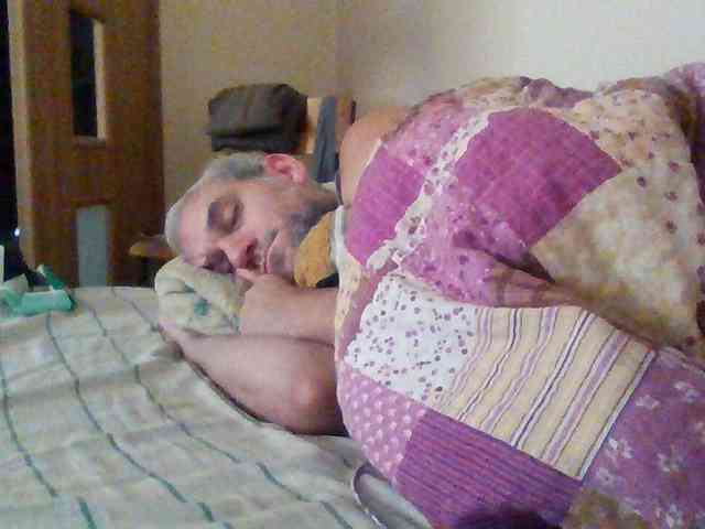 CuddleBear