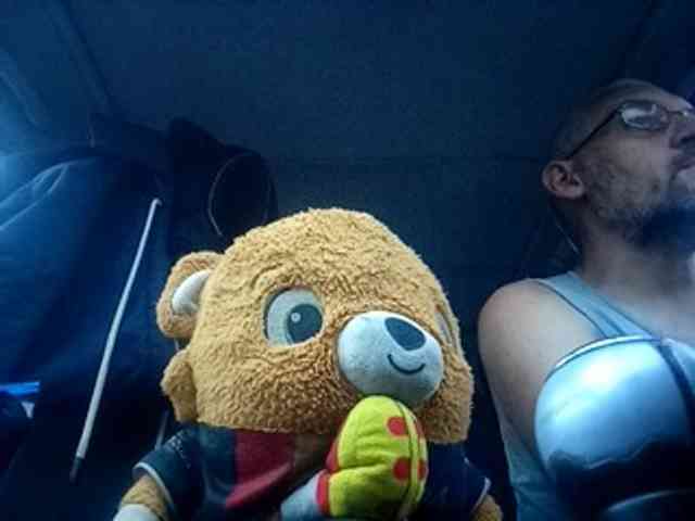 CuddleBear