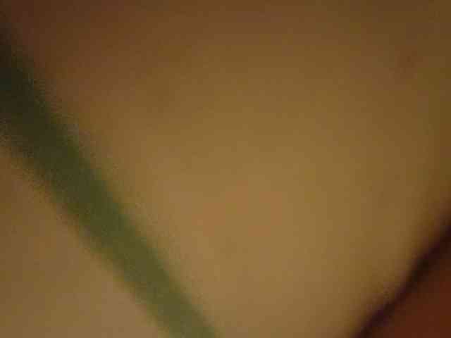 CuddleBear Sex Cam Show