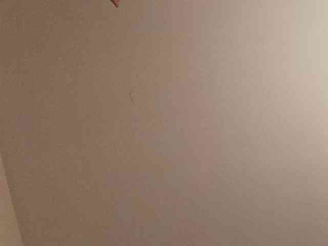 CuddleBear Sex Cam Show
