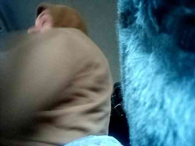 CuddleBear