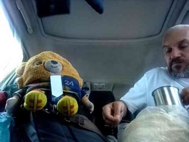 CuddleBear CuddleBear