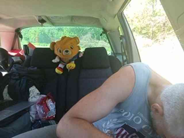 CuddleBear Live Webcam on BongaCams