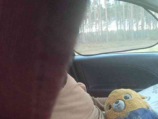 CuddleBear