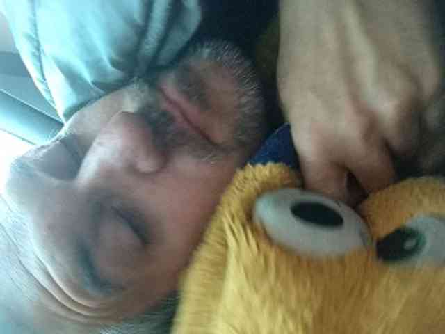 CuddleBear