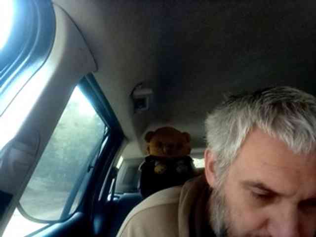 CuddleBear