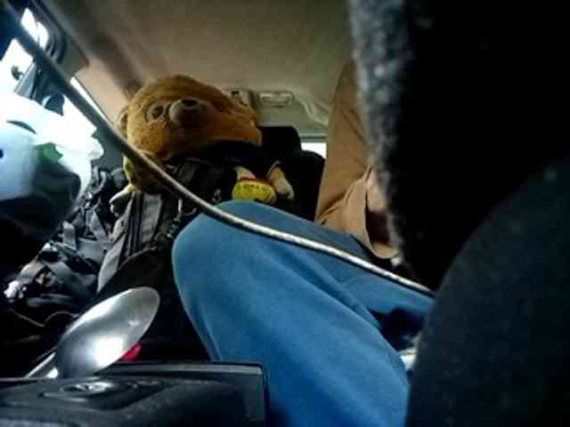 CuddleBear