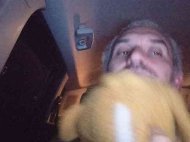 CuddleBear
