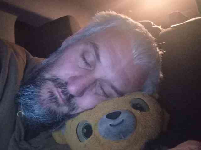 CuddleBear