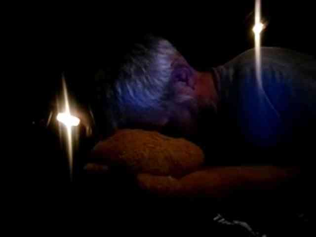 CuddleBear