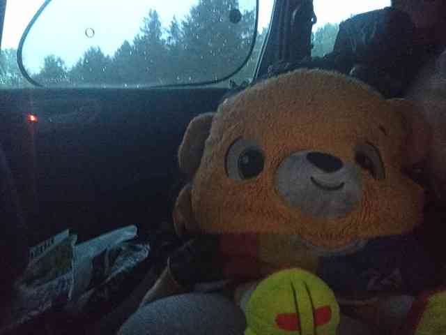 CuddleBear CuddleBear