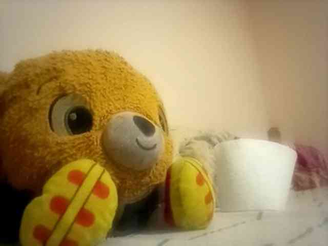 CuddleBear