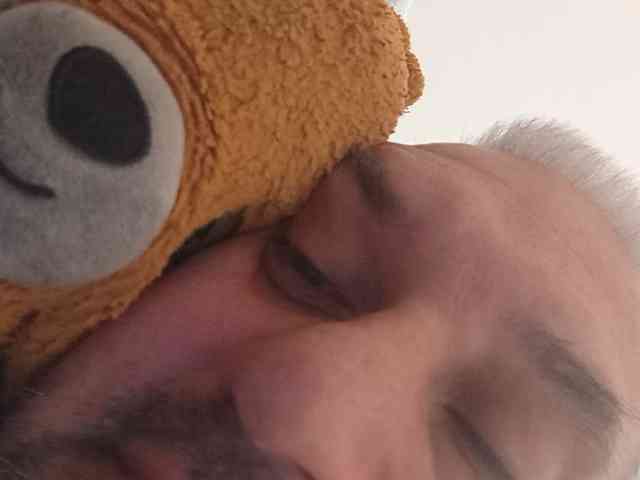 CuddleBear
