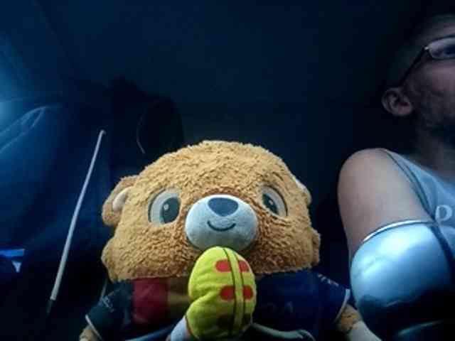 CuddleBear