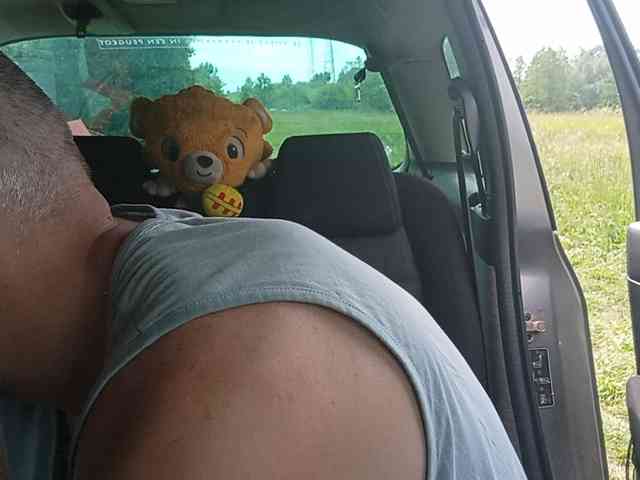 CuddleBear