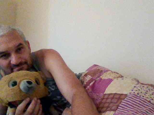 CuddleBear