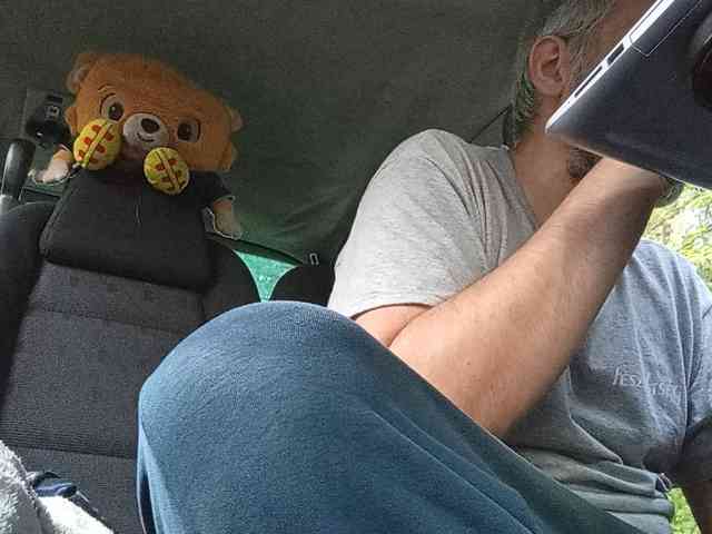 CuddleBear