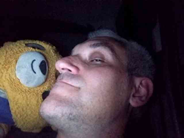 CuddleBear
