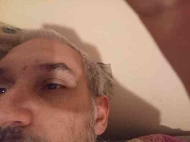 CuddleBear