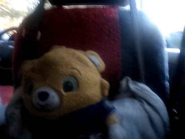 CuddleBear