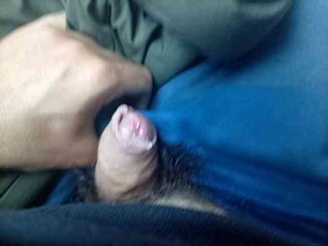 CuddleBear