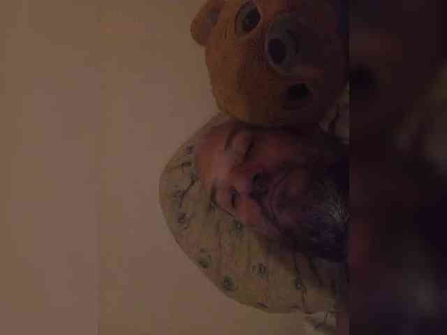 CuddleBear