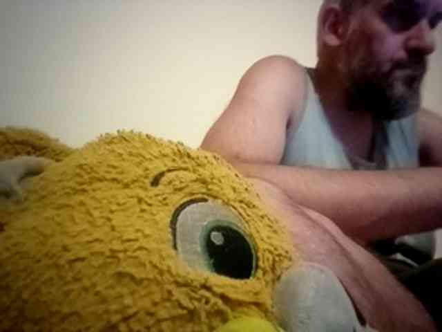 CuddleBear