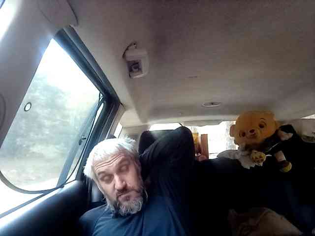 CuddleBear