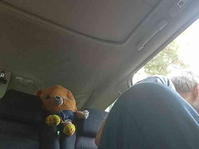 CuddleBear